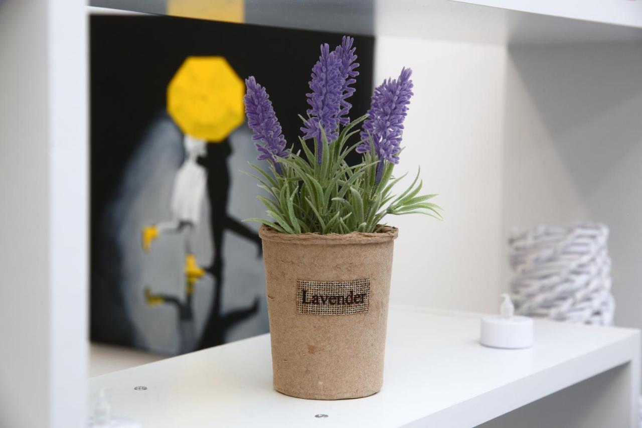 B&M Apartment Braşov Eksteriør bilde